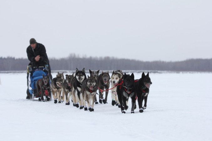 Jessie Royer, Jeff King, John Baker on the Yukon – Iditarod