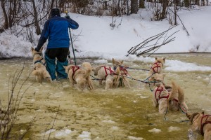looks like jim lanier negotiating overflow ten miles short of iditarod.  this great photo taken by Hideo Sato, a japaneese photographer traveling with super-cub pilot exrordinaire jay claus