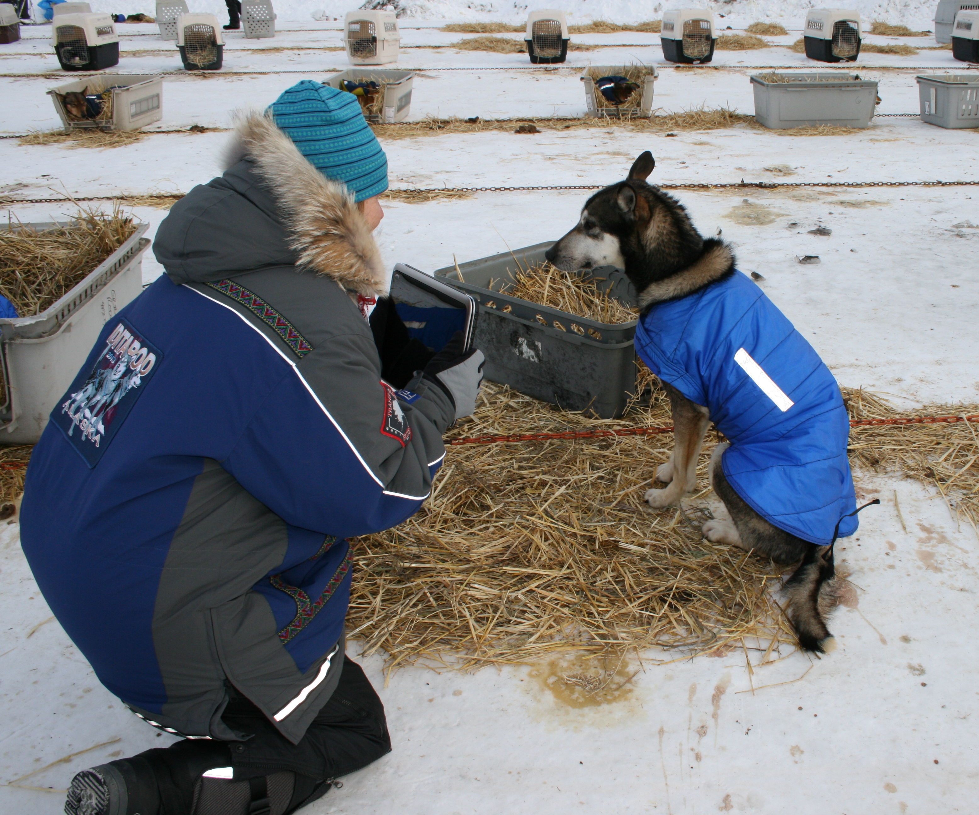 Linda dog lot 2013