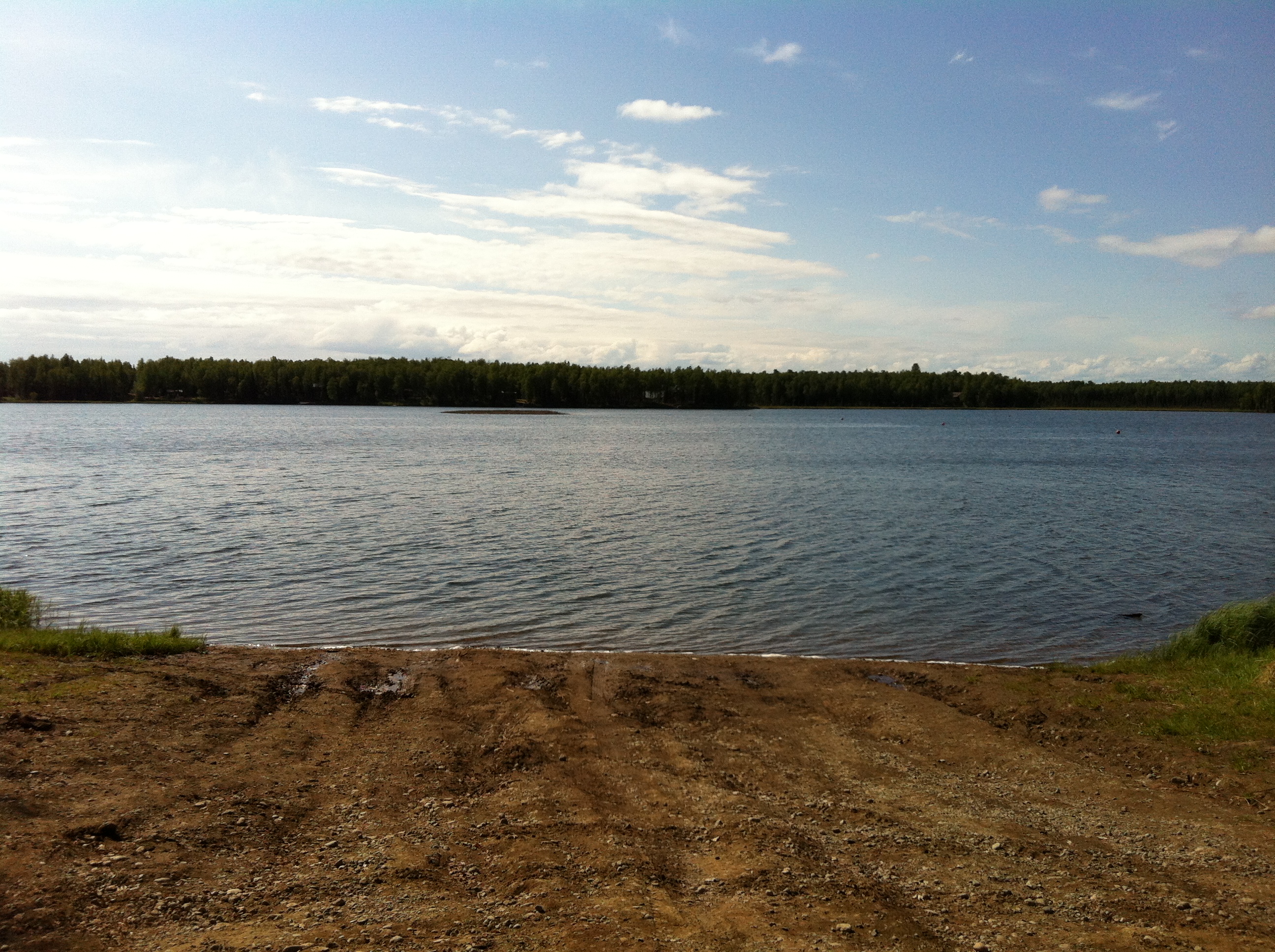 Willow Lake in June