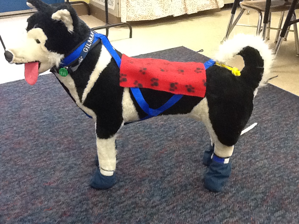 Denali Size Feet = too small!