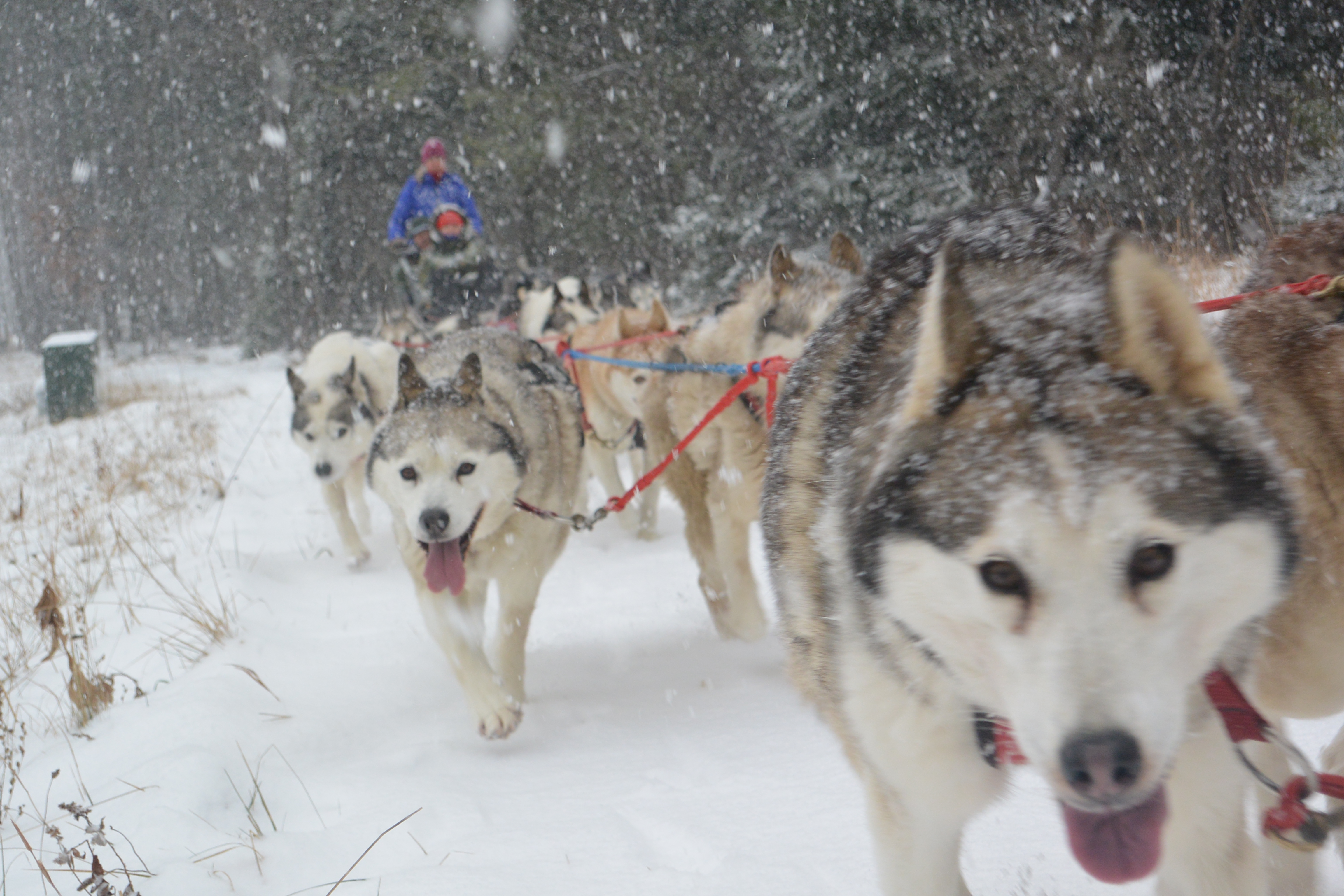 DSC_0375-9060(rev 0)