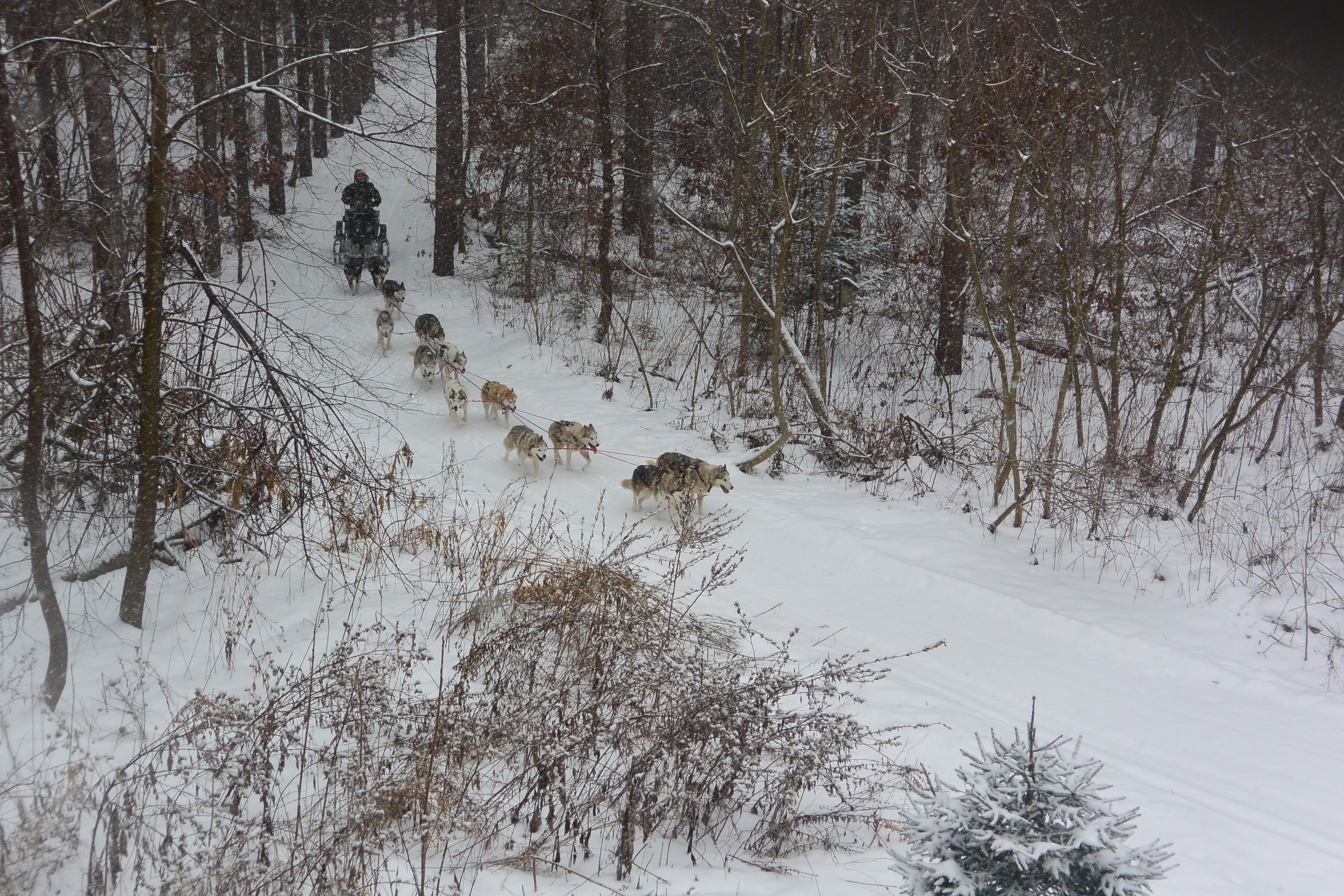 DSC_0470-9154(rev 0)