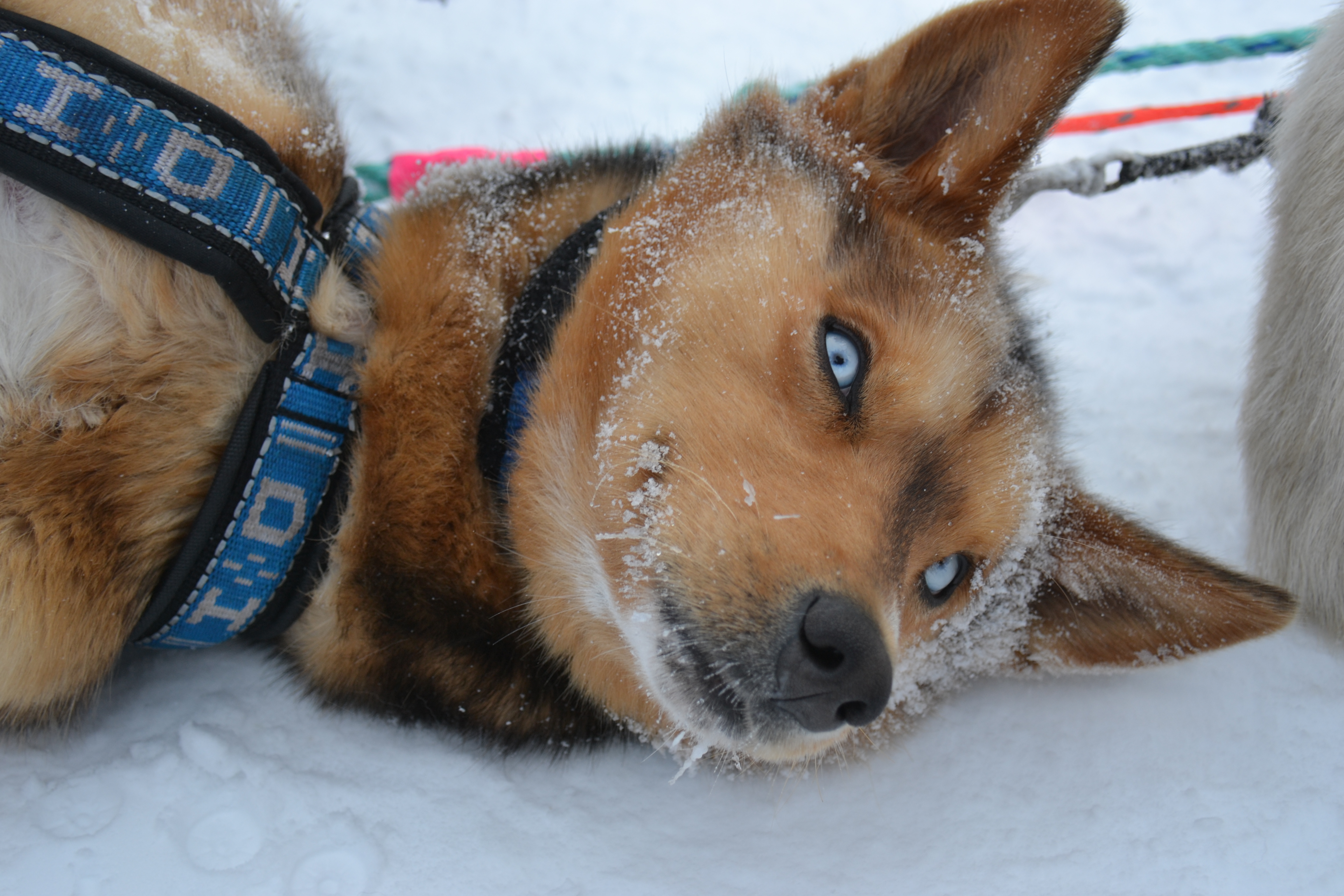 2014-03-15 23.21.45-1