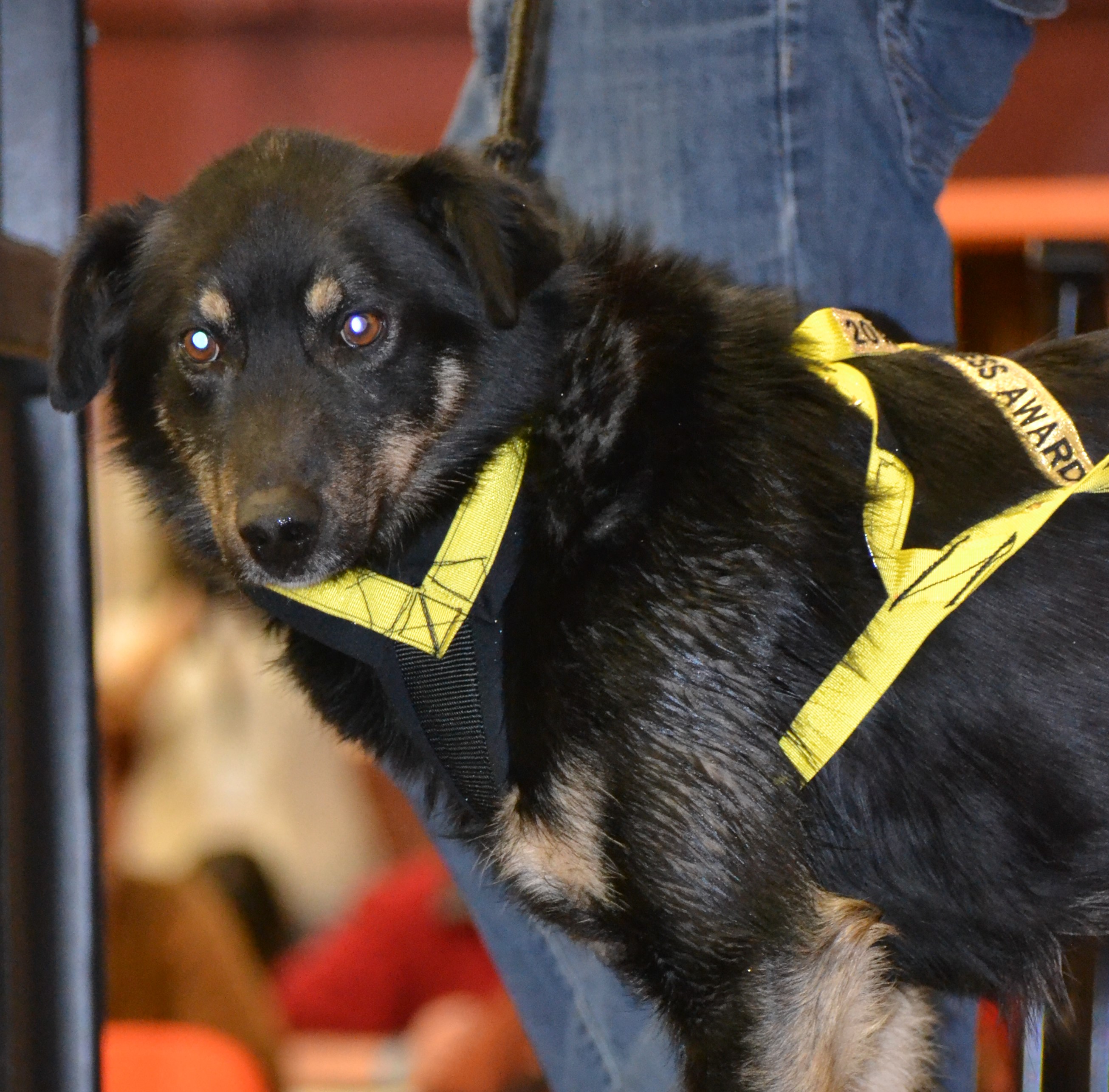 2014-03-16 22.57.56 (2)