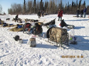 galena petit sled1