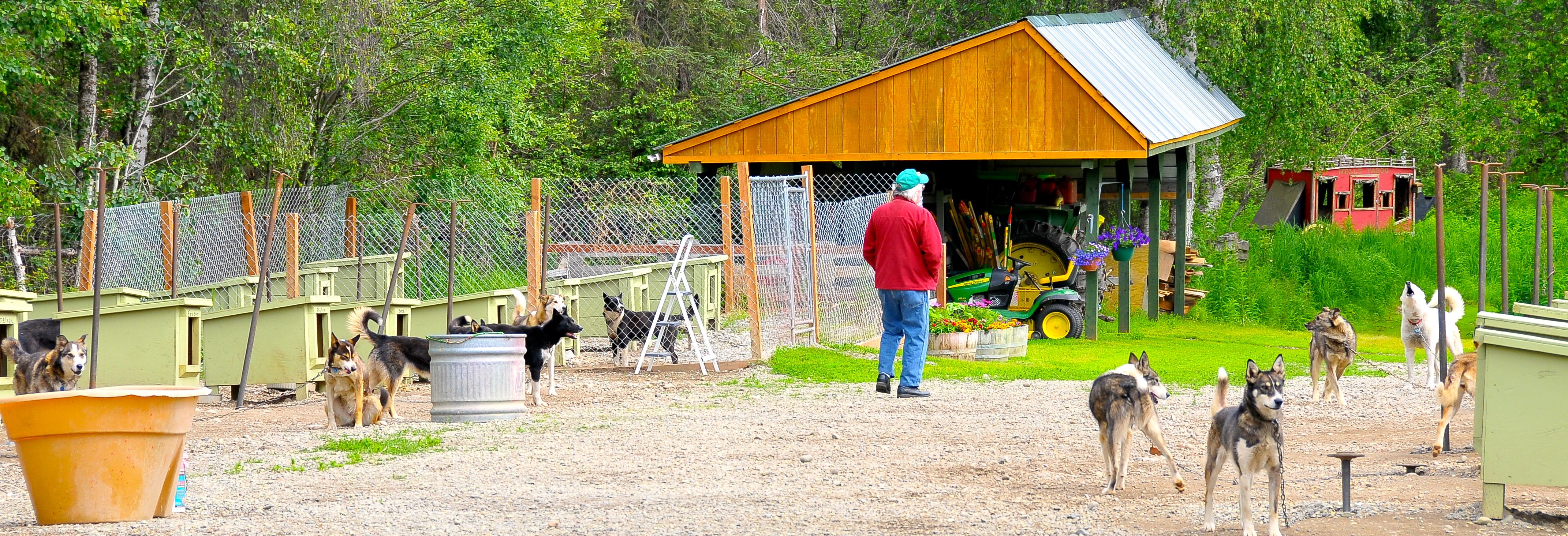 "Others might remember winning or losing; I remember the journey."