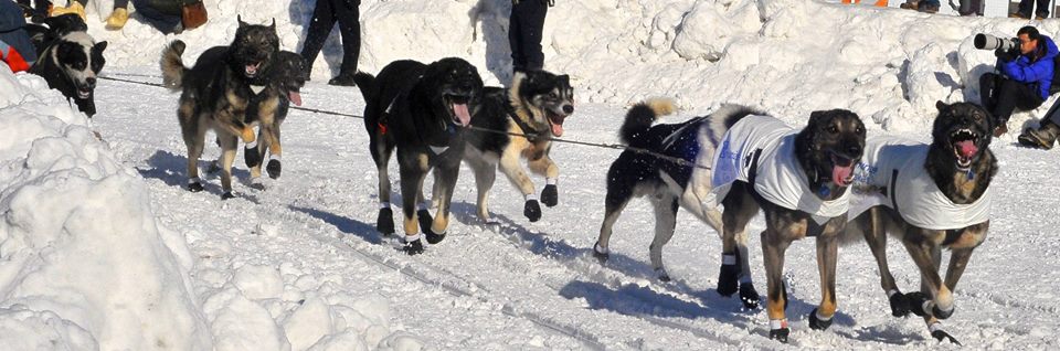  . 68 68 "We're on a journey here, and we don't have a road map." — Ralph Brennan 