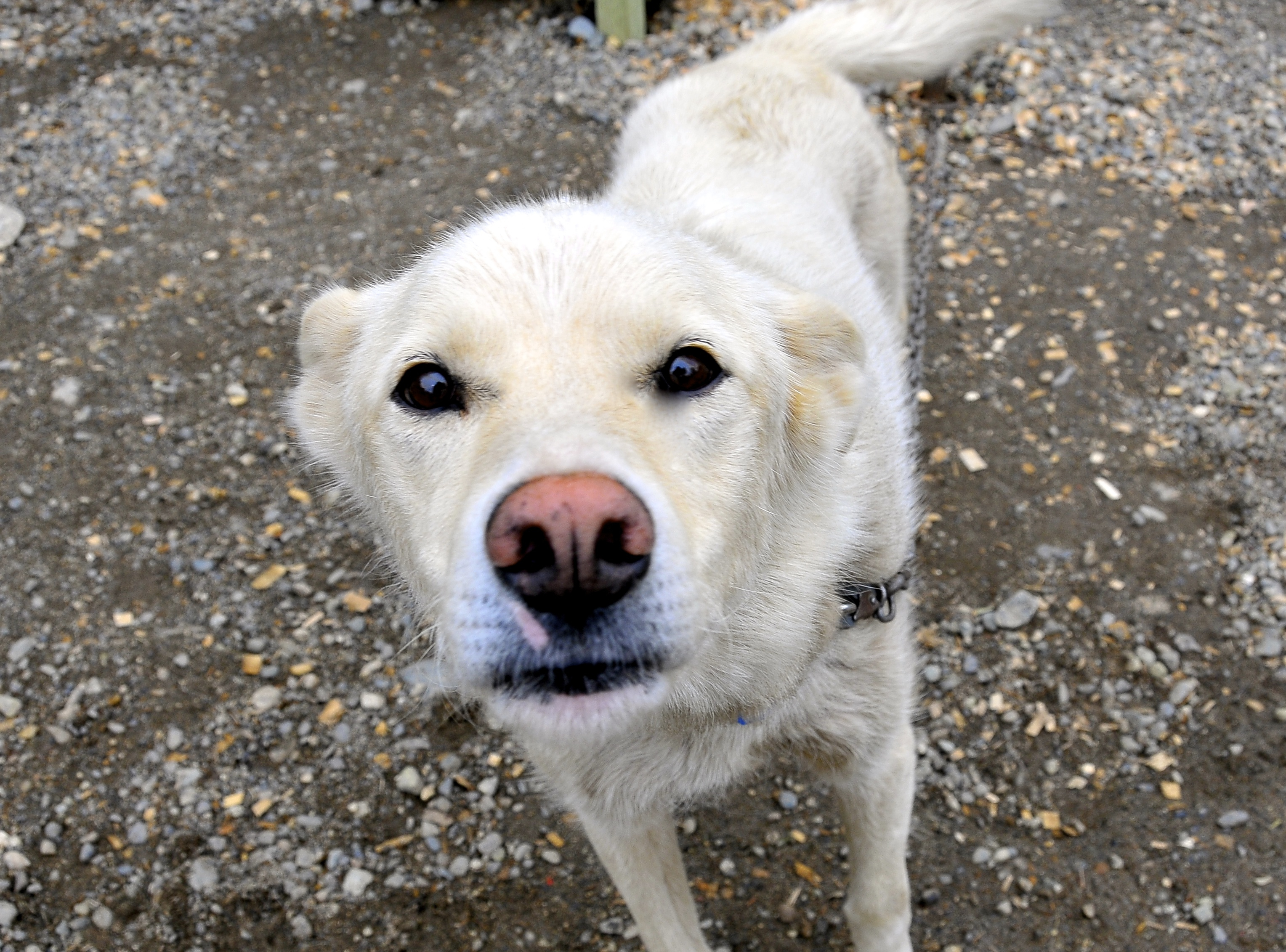 "Sometimes a [life] journey can take you to a place that is not on any map."  - Cold Fever (movie)