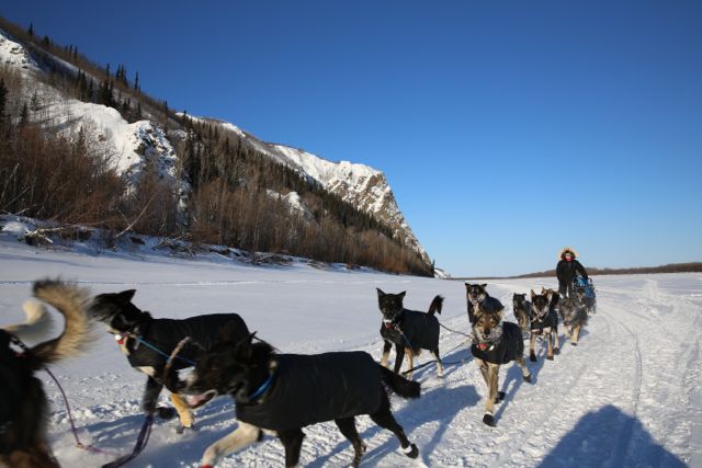 Jessie Royer 7th into Koyukuk – Iditarod