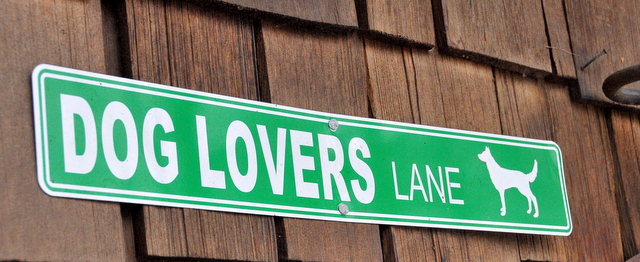 Welcome to the Van Zyle's