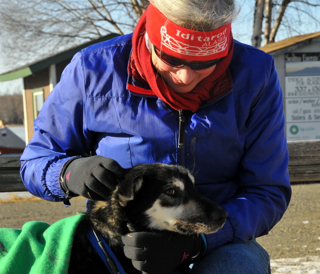 Giving out some dog love and attention