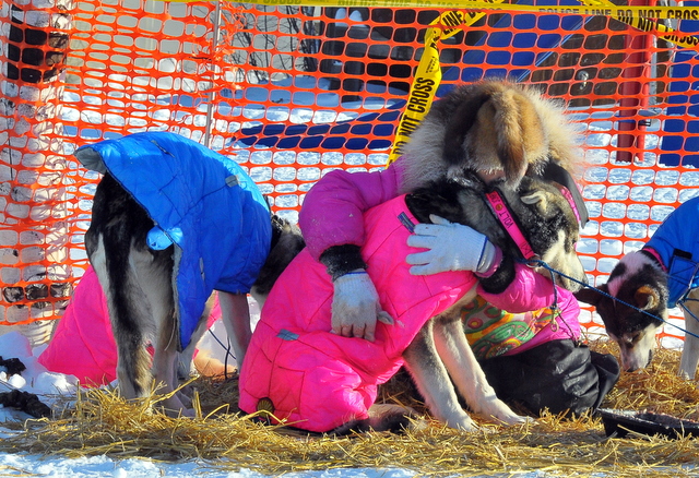 Dee Dee Jonrowe hugging one of her dogs.