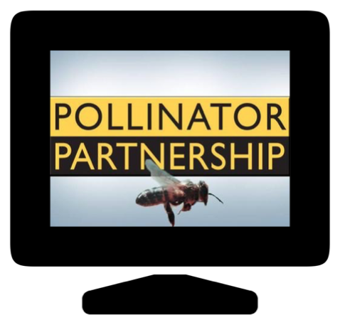 Screen Shot 2015-10-01 at 5.11.04 PM