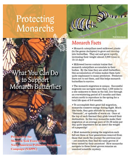 Screen Shot 2015-10-01 at 5.59.22 PM