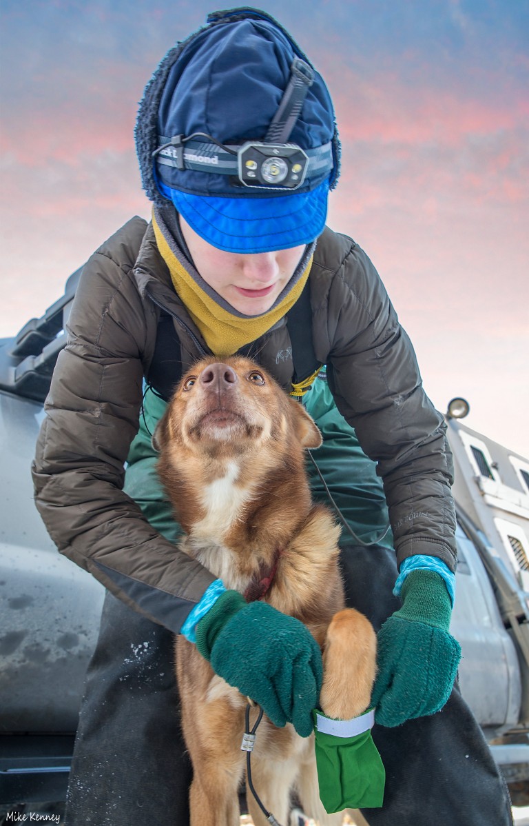 Book Study: Diamond Willow – A Novel in Poetry – Iditarod