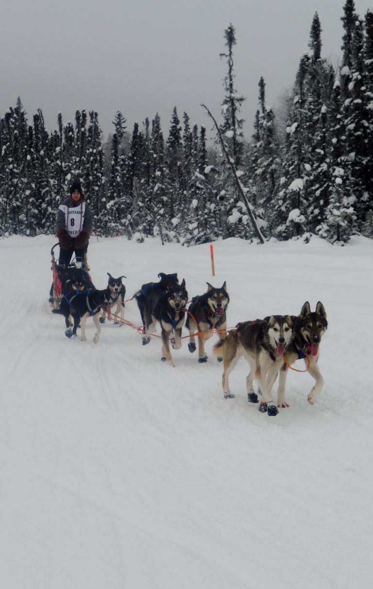 F is for Fairbanks Go with the Flow Iditarod
