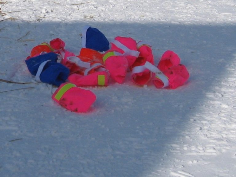 Booties On! Iditarod