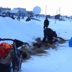 Unalakleet, Iditarod 2018