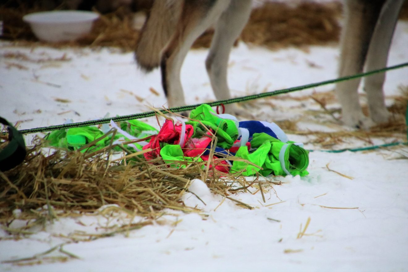 Booties Galore Iditarod