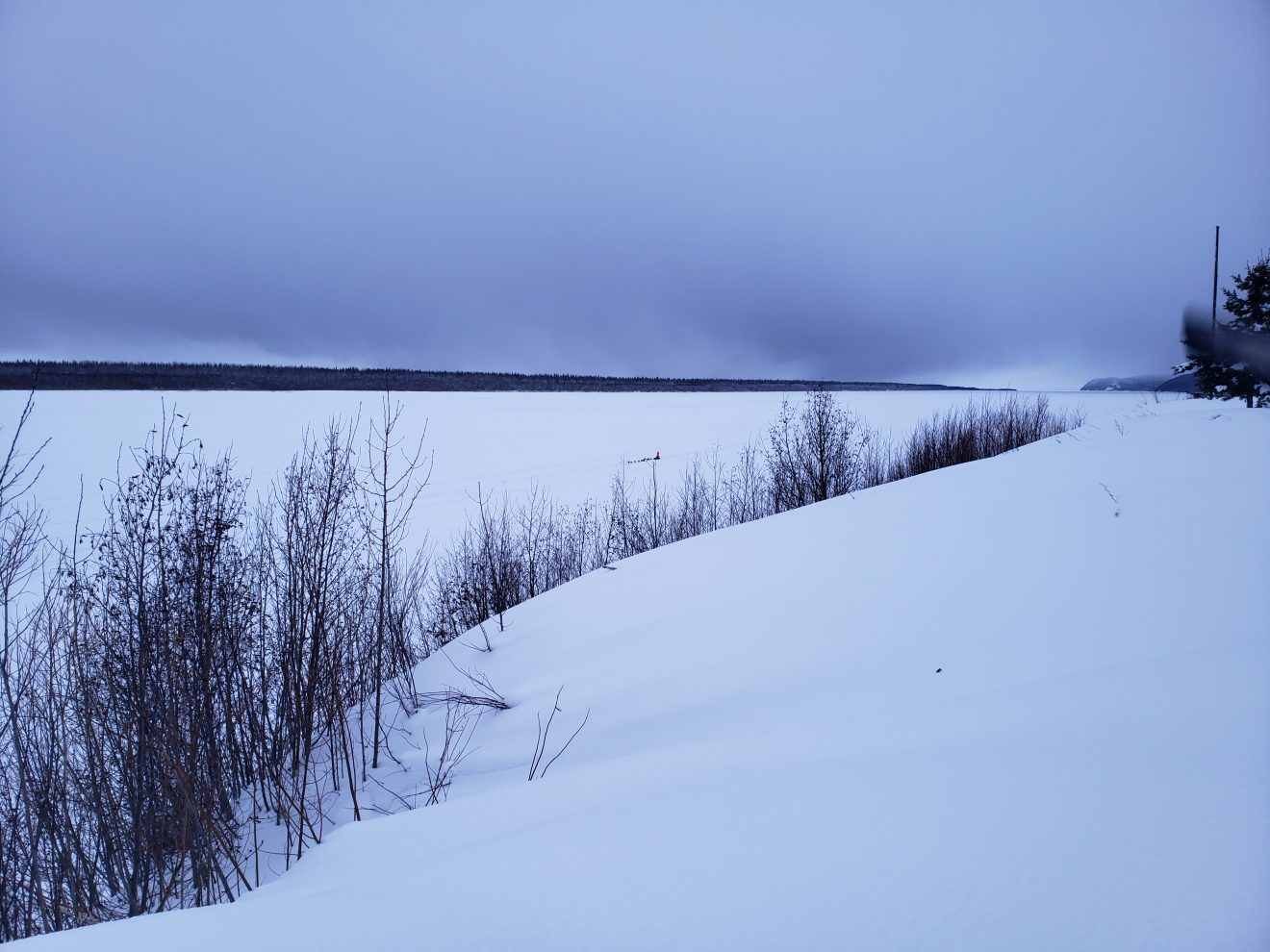 Joar Leifseth Ulsom 3rd and Jessie Royer 4th into Kaltag Iditarod