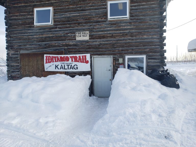 Update from Kaltag Iditarod