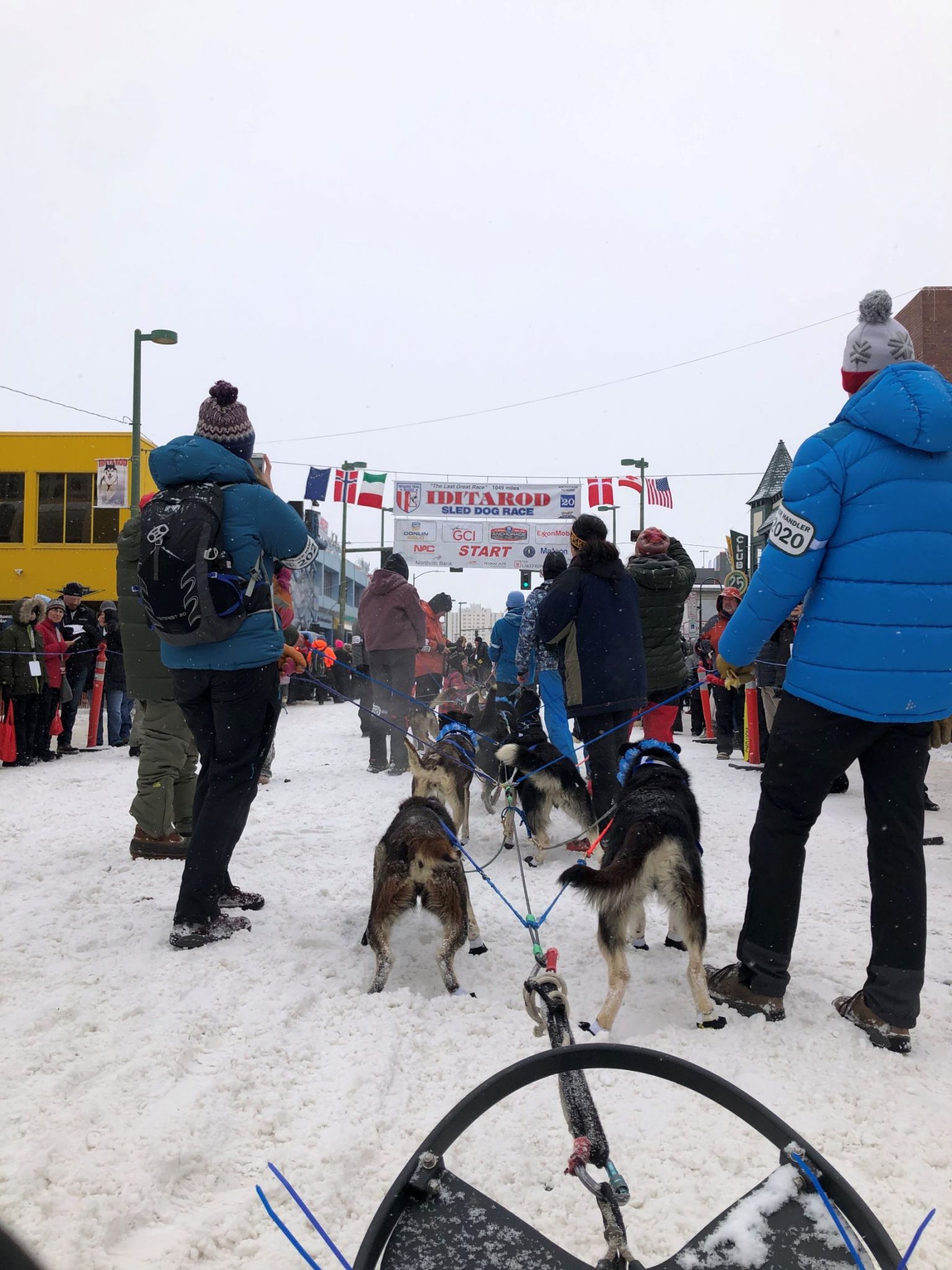 Ceremonial Start Iditarod