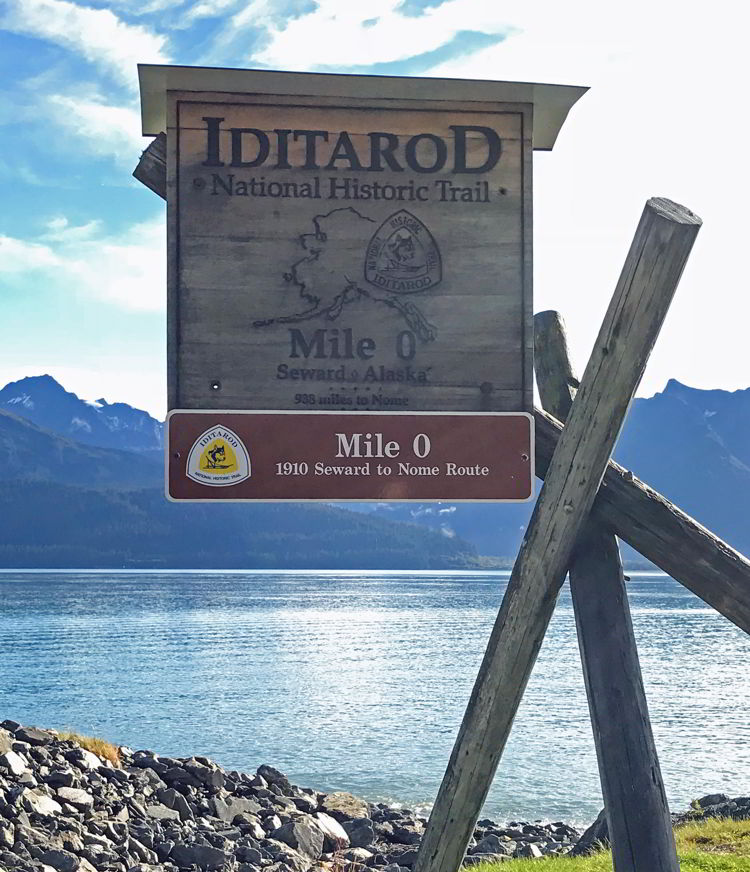 What To Expect… – Iditarod