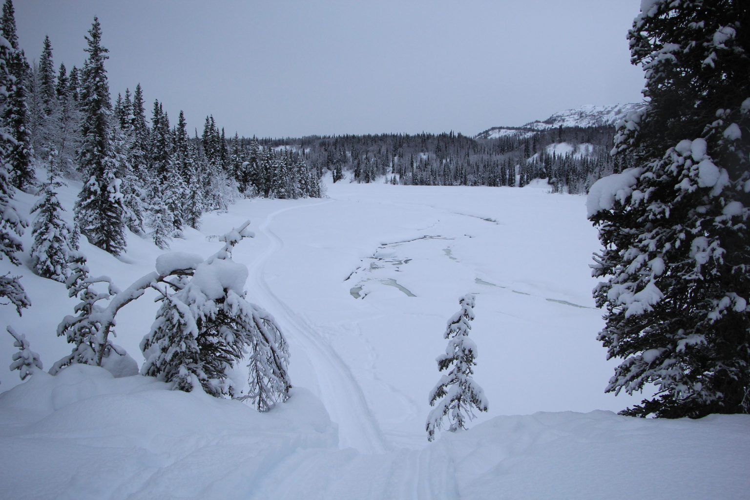 Virtual Trail Journey Finger Lake Iditarod
