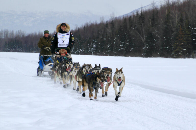 Eye on the Trail: Rookie Review Part II – Iditarod