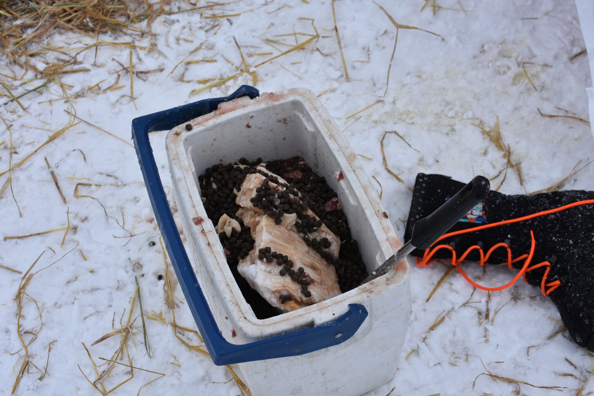 eating-on-the-trail-iditarod