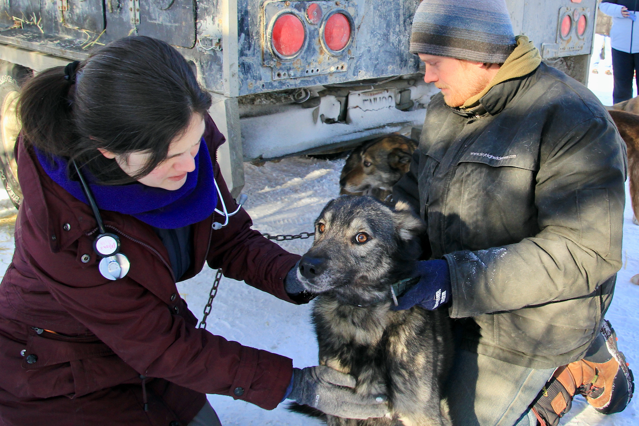 Eye on the Trail Rookie Review Pt. 2 Iditarod