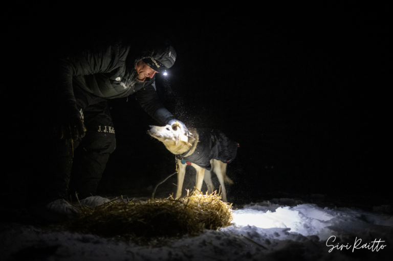 Eye on the Trail Leaders in White Mountain Wheel Dogs Off Yukon