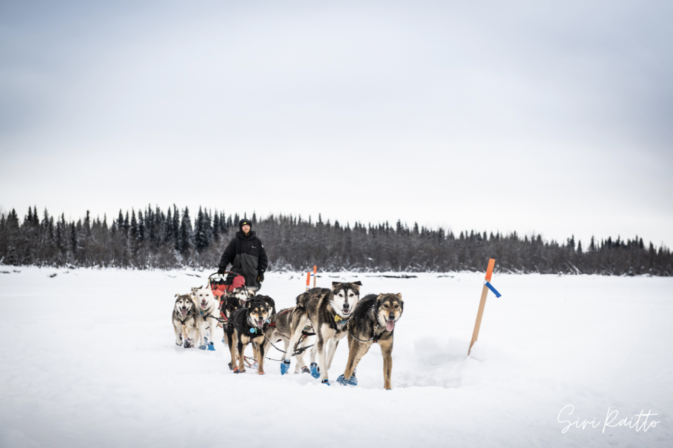 Eye on the Trail: Takotna, Mackey, Teaford & Eklund – Iditarod