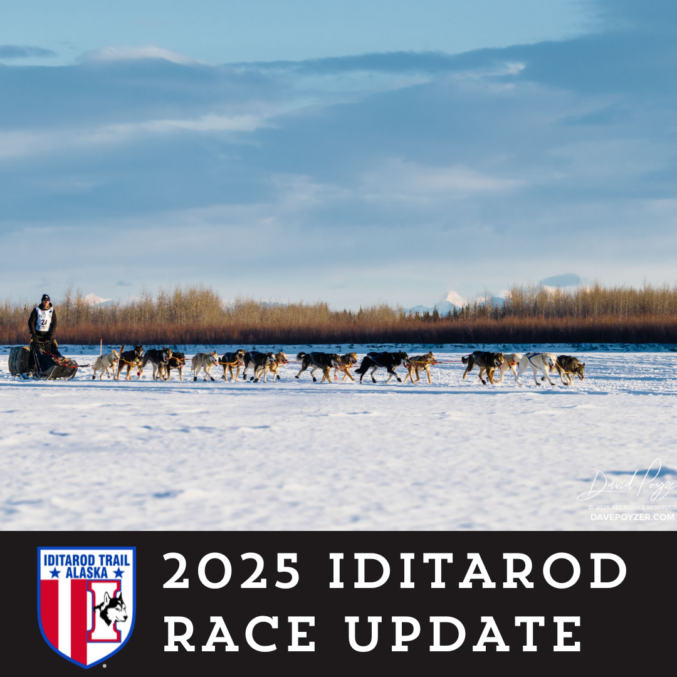 Rookie Iditarod musher Bryce Mumford scratches at the Grayling 1 checkpoint Iditarod
