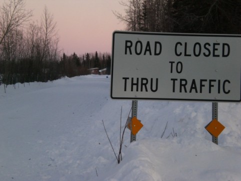 Mushers and Teams Rule the Roads