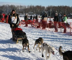 Anna Berington Iditarod 2012